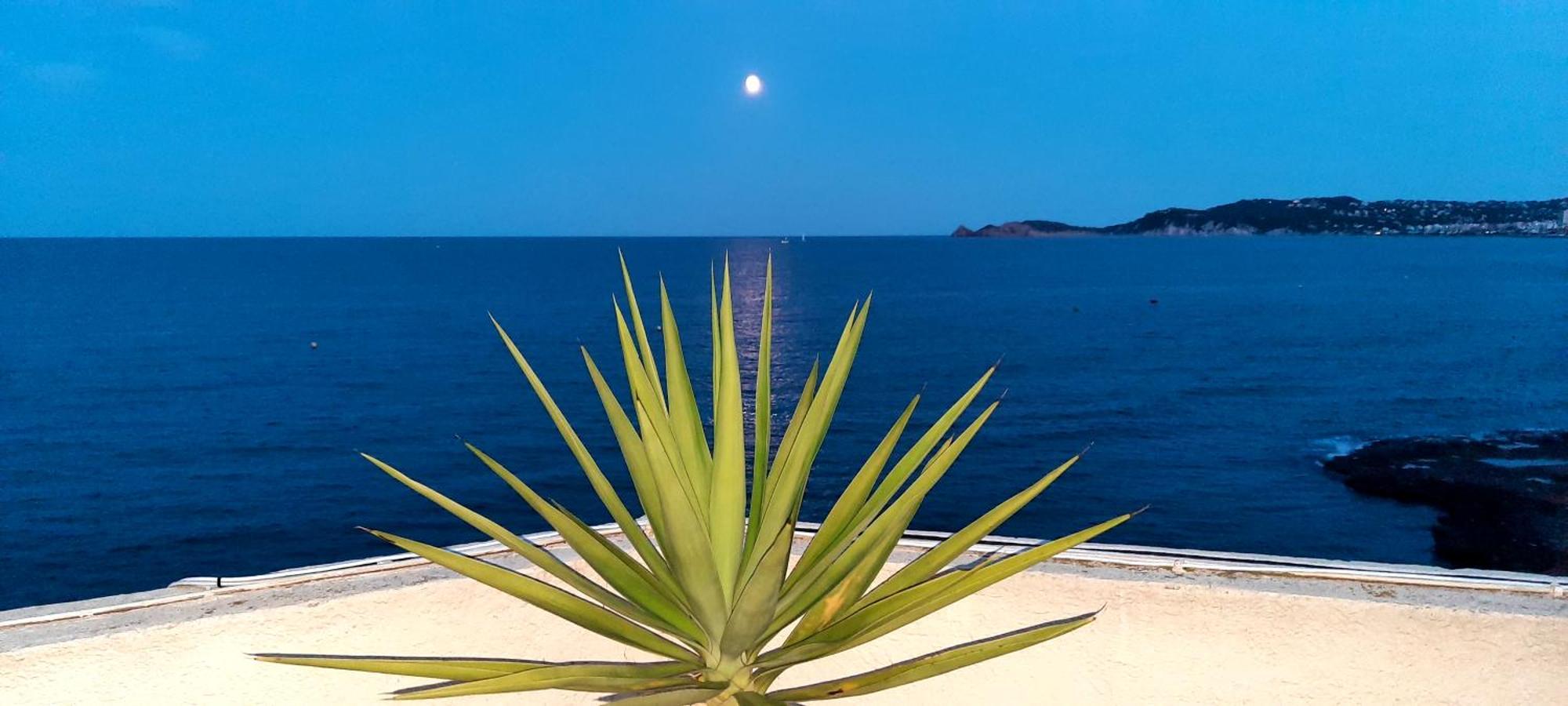 Appartement La Casa Del Port Jávea